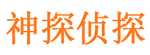 环江侦探公司